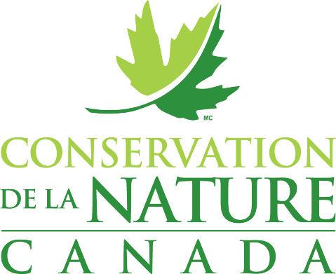 Logo CNC